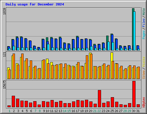 Daily usage for December 2024