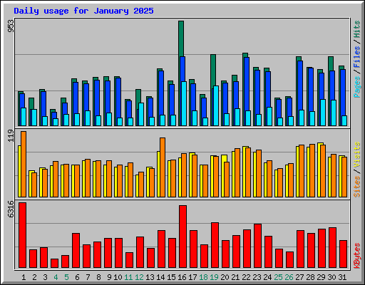 Daily usage for January 2025