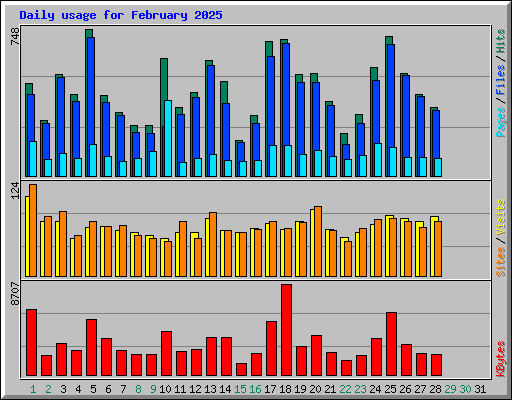 Daily usage for February 2025