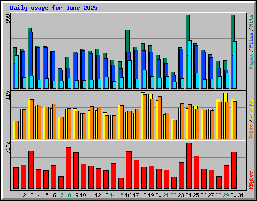 Daily usage for June 2025