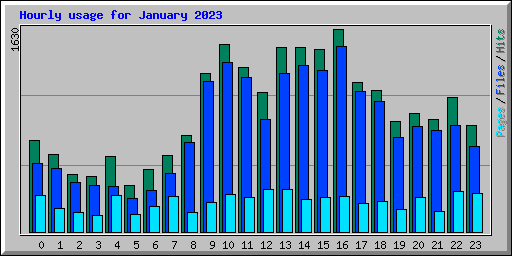 Hourly usage for January 2023