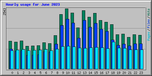 Hourly usage for June 2023