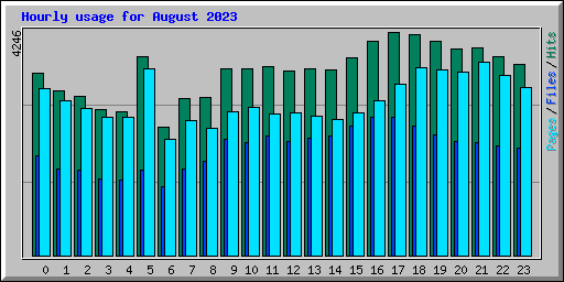 Hourly usage for August 2023