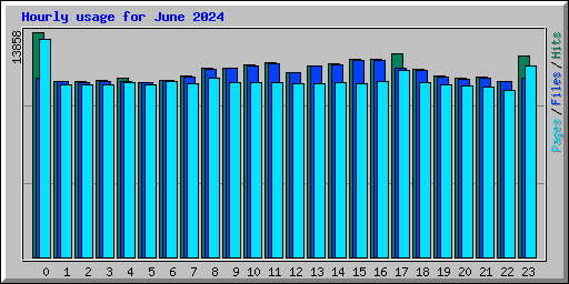 Hourly usage for June 2024