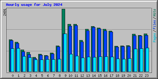 Hourly usage for July 2024