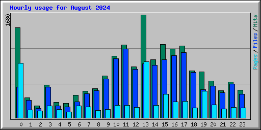 Hourly usage for August 2024