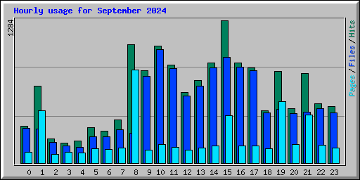 Hourly usage for September 2024
