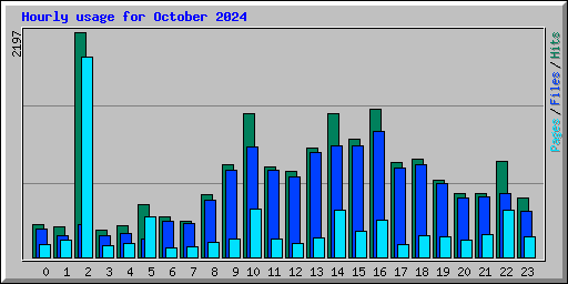 Hourly usage for October 2024
