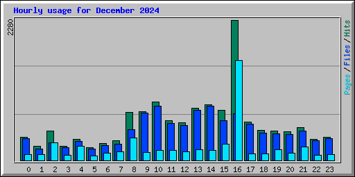 Hourly usage for December 2024