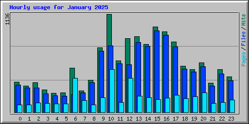 Hourly usage for January 2025