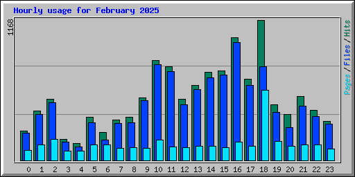 Hourly usage for February 2025