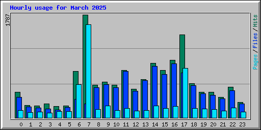 Hourly usage for March 2025