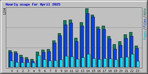 Hourly usage for April 2025