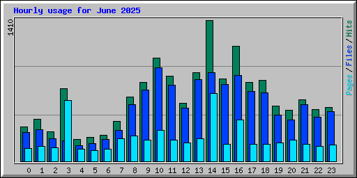 Hourly usage for June 2025