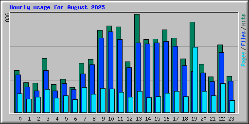Hourly usage for August 2025