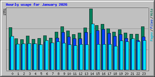 Hourly usage for January 2026